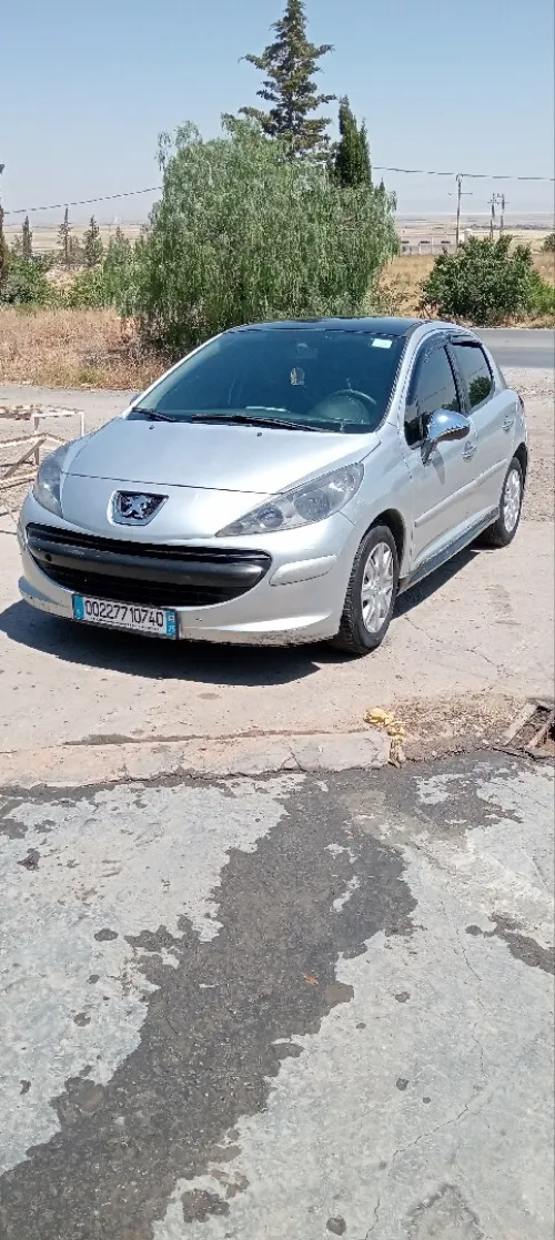 Peugeot 207 2007 207