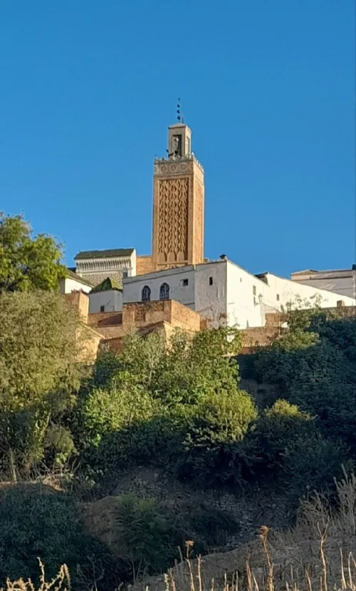 Vente Terrain Tlemcen Tlemcen