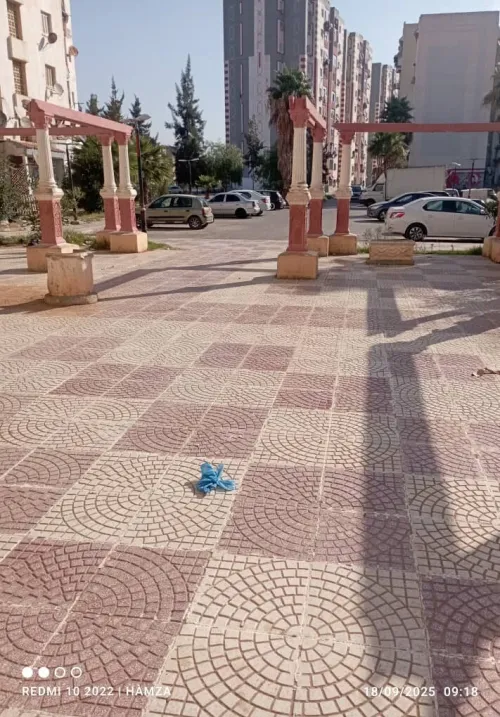 Vente Appartement F3 Alger Baraki