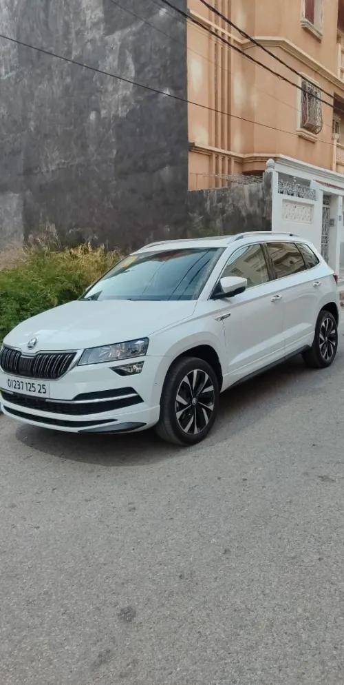 Skoda Karoq 2025 Tout option