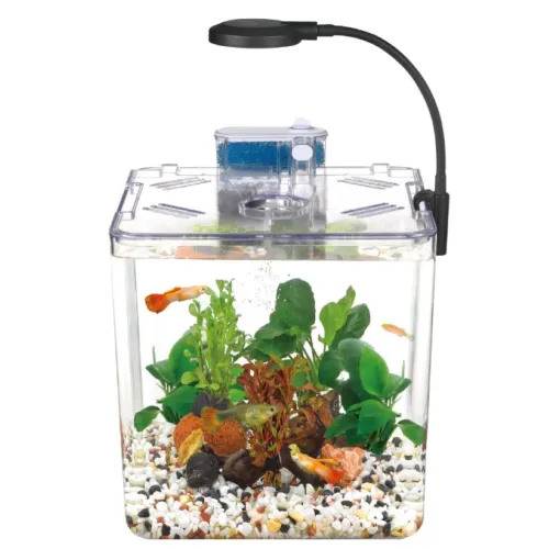 Mini Aquarium avec Système de Filtre et Éclairage LED Intégré
