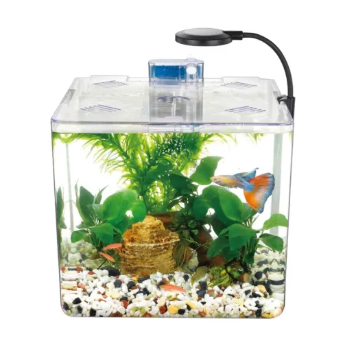 Mini Aquarium avec Système de Filtre et Éclairage LED Intégré