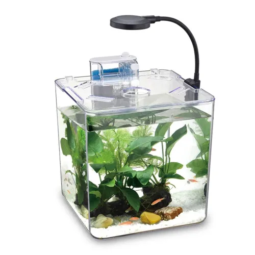 Mini Aquarium avec Système de Filtre et Éclairage LED Intégré
