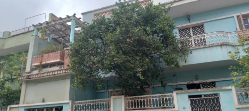 Vente Villa Tlemcen Tlemcen
