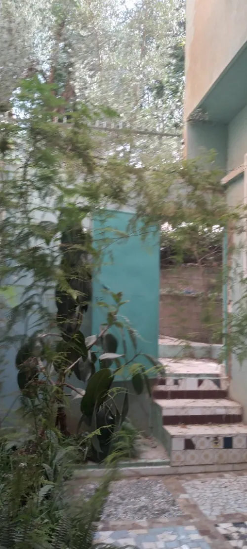 Vente Villa Tlemcen Tlemcen