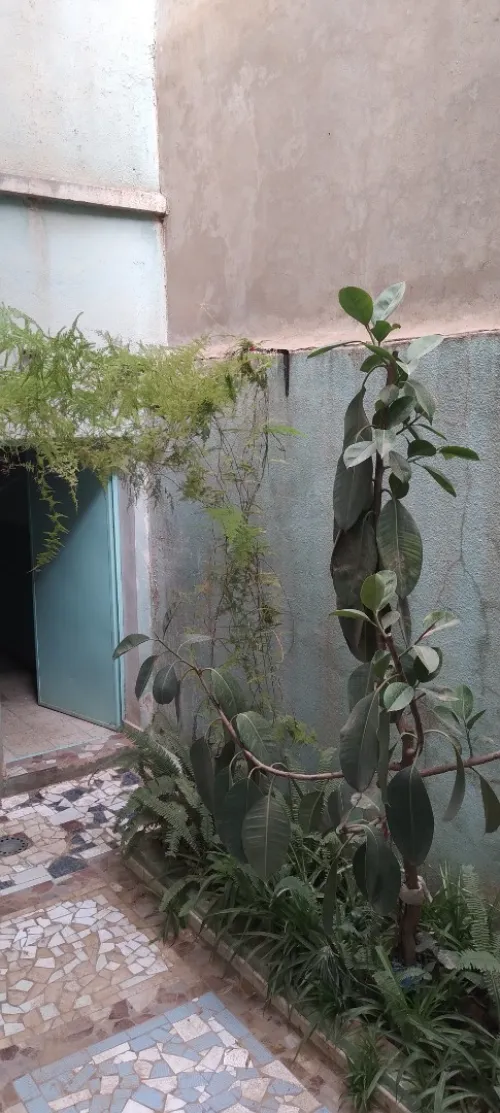 Vente Villa Tlemcen Tlemcen