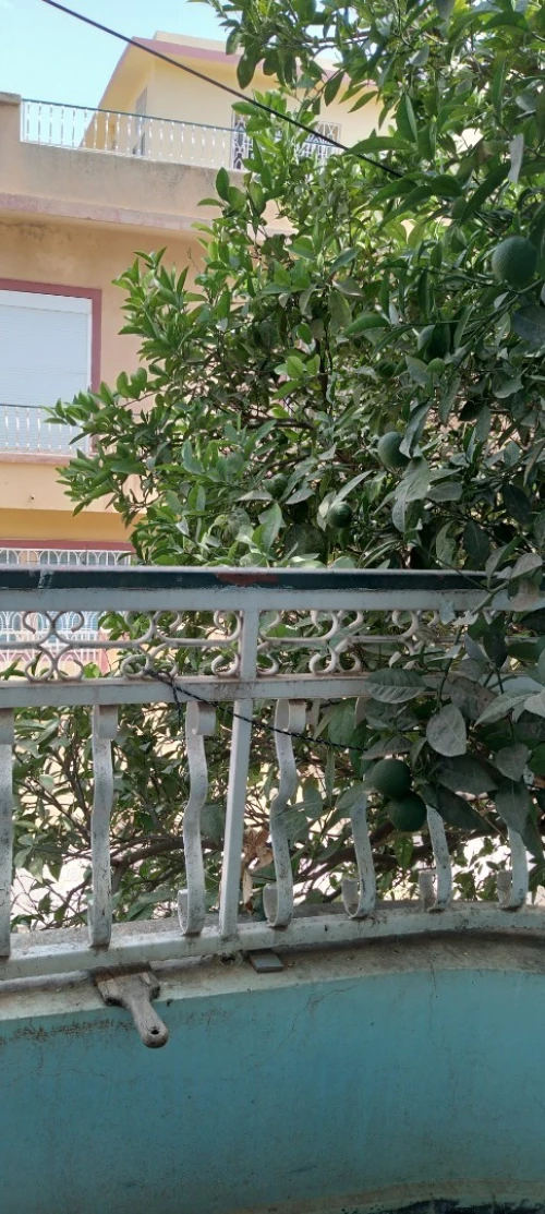 Vente Villa Tlemcen Tlemcen