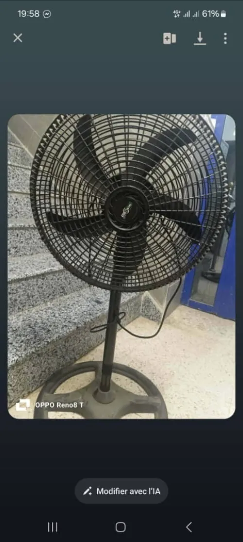 Ventilateur fennec gros et detaile