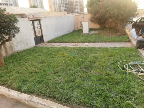 Entretien jardin / Débroussaillage Nettoyage des espaces verts (Alger & Blida)