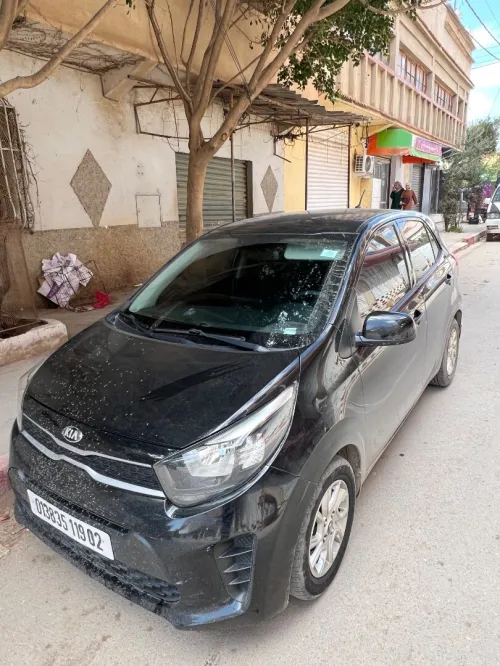 Kia Picanto 2019 Stare