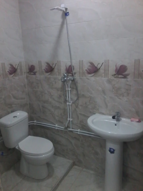 Location Local Alger Saoula