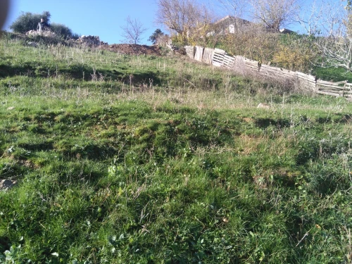 Vente Terrain Béjaïa Bejaia
