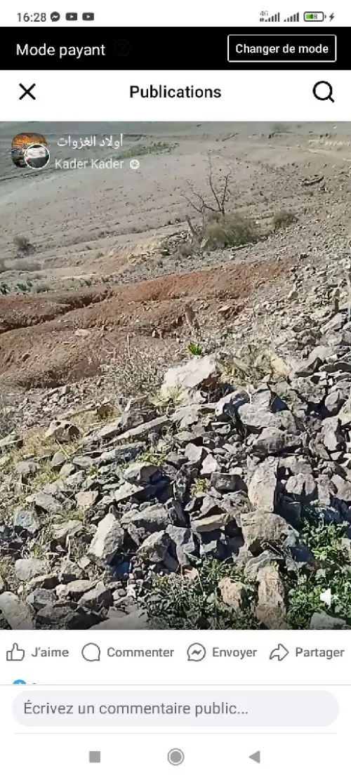 Vente Terrain Tlemcen Dar yaghmouracene