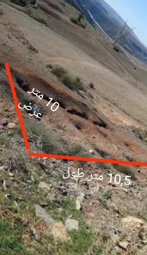 Vente Terrain Tlemcen Dar yaghmouracene