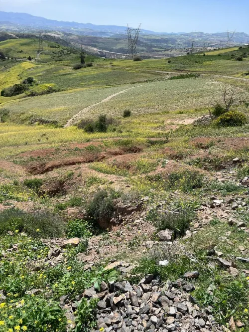 Vente Terrain Tlemcen Dar yaghmouracene