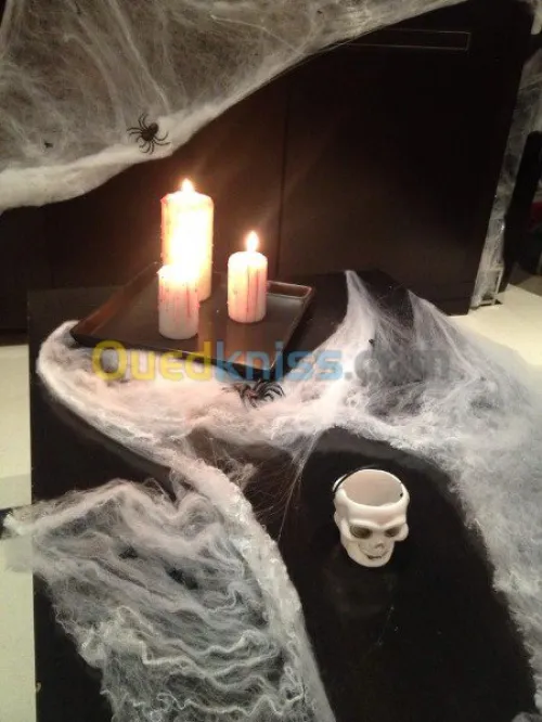 organisation de fétes.