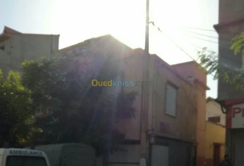 Location Local Blida Blida