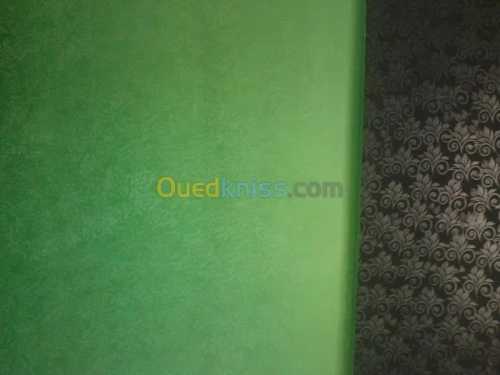 PEINTURE DECORATION MAISSON