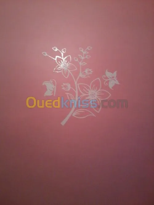 PEINTURE DECORATION MAISSON