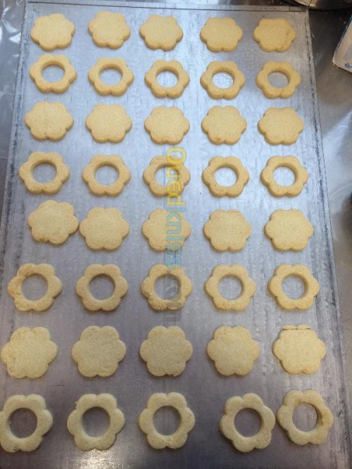 ROTATIVE A BISCUITS AFRIMAT ROT 500