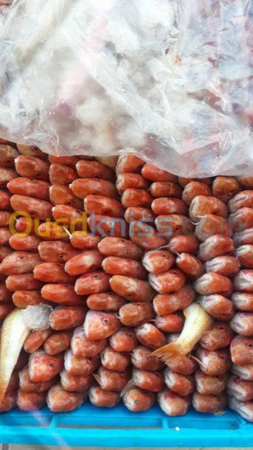 Export et Import des poissons