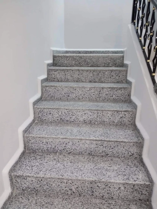 Vente Villa Blida Blida