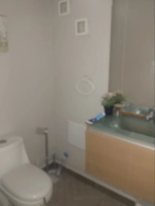 Location Appartement Niveau de villa F4 Alger Hussein dey