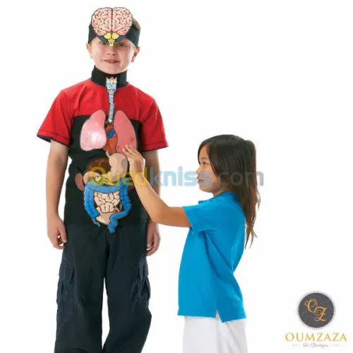 anatomie en 3D