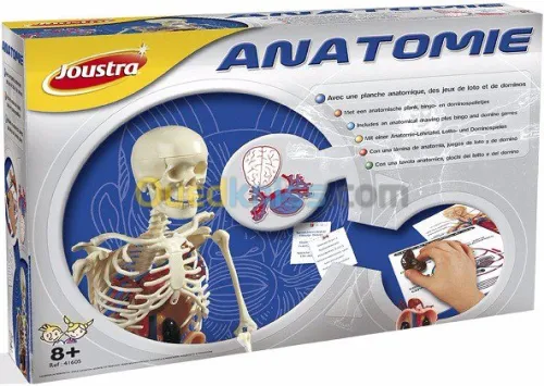 anatomie en 3D