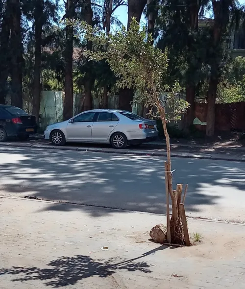 Volkswagen Jetta 2007 Classic 