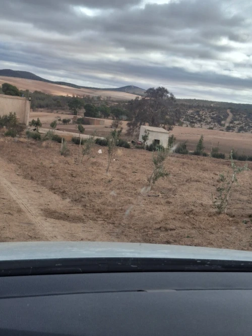 Vente Terrain Agricole Sidi Bel Abbès Belarbi