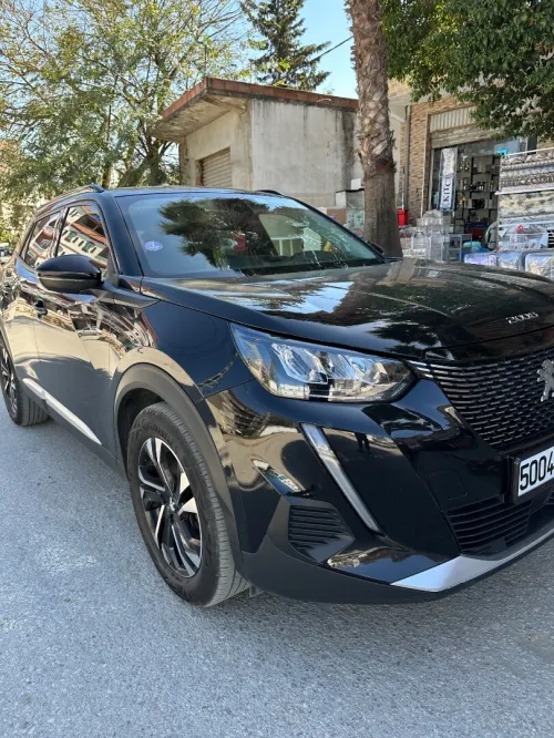 Peugeot 2008 2022 Erg
