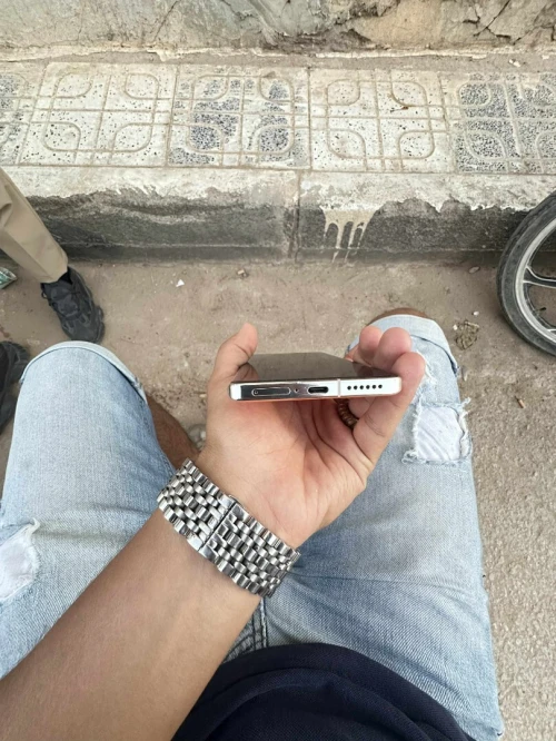 Vivo X100