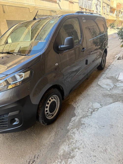 Fiat Skodo 2024 