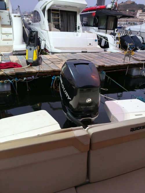 Quicksilver 755 active