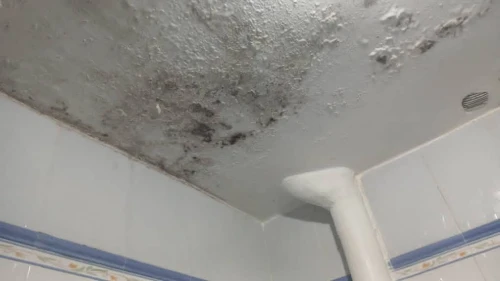 Détection de fuites d'eau recherche