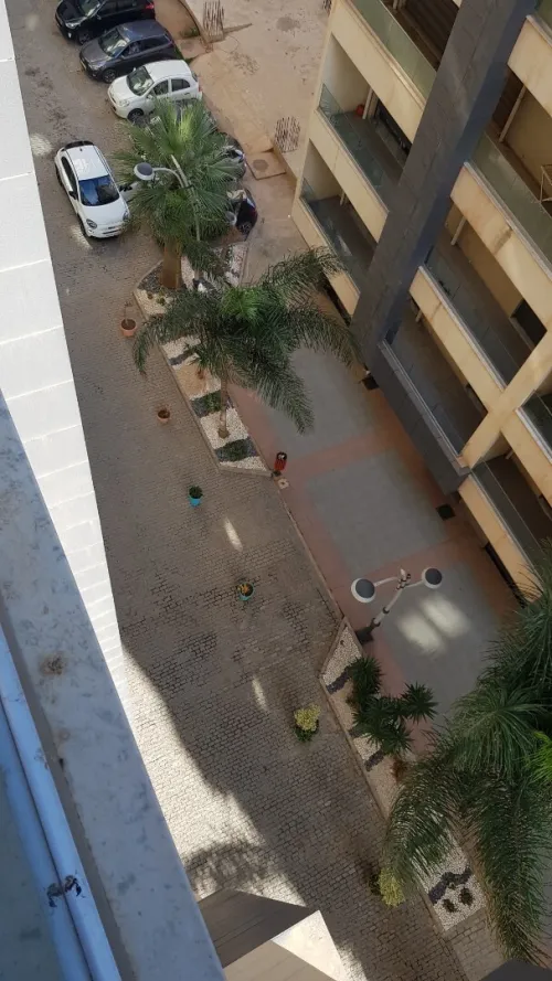 Location Appartement F5 Alger Birkhadem