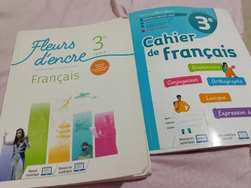 Livre ecole fleurs d'encre et oxford project explore 