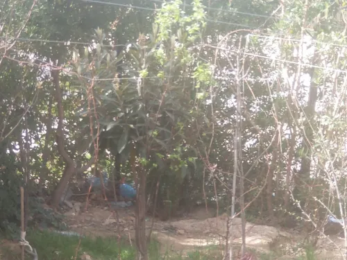 Vente Villa Batna El madher