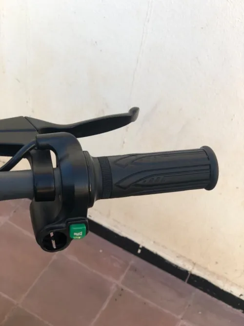 Troutinat Electric 2024