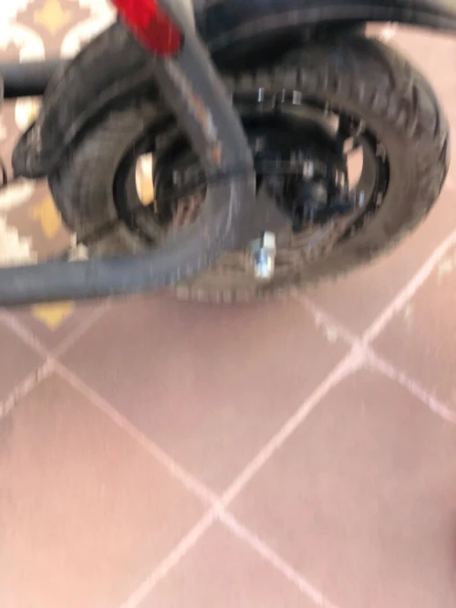 Troutinat Electric 2024