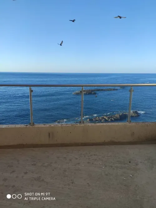 Vente Appartement F3 Jijel Jijel