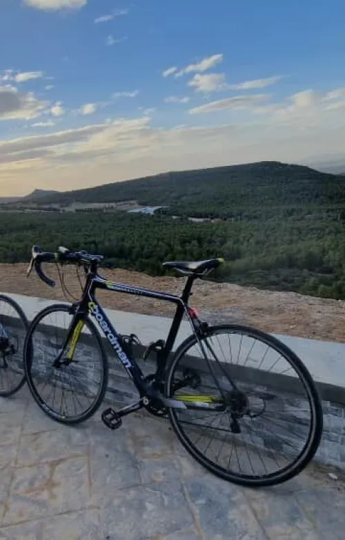 Boardman Team C Carbon Road Bike 2016
