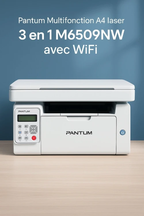 Pantum Multifonction A4 laser 3 en 1 M6509NW avec WiFi Noir et Blanc