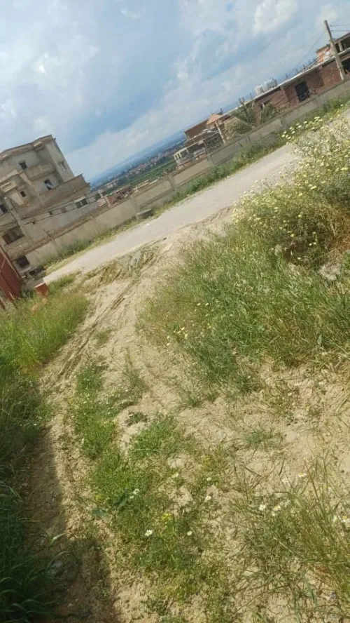 Vente Terrain Blida Larbaa