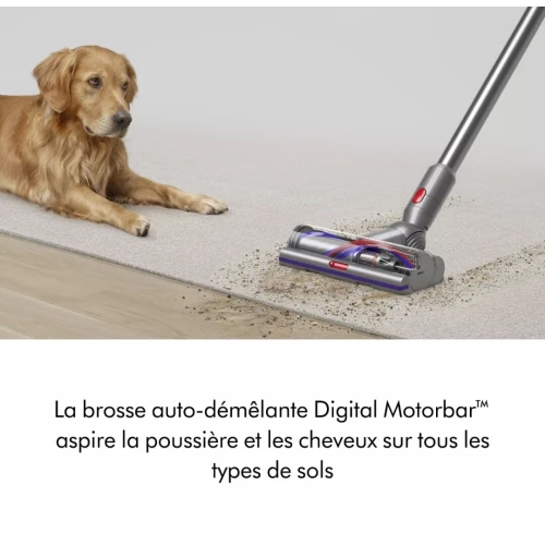 Aspirateur Balai Sans Fil Dyson V15 Detect Absolute