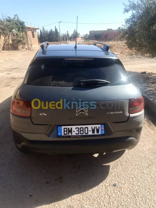 Citroen C4 Cactus 2015 C4 Cactus