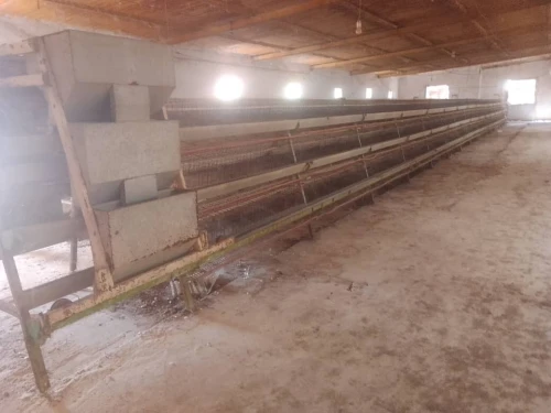Batterie poule pondeuse 