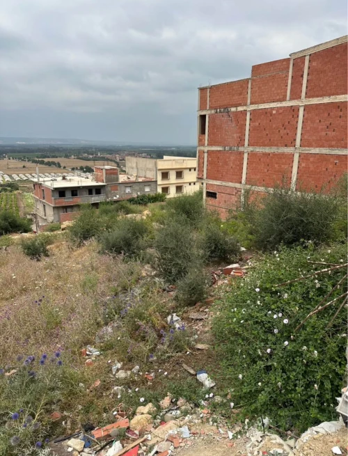Vente Terrain Blida El affroun