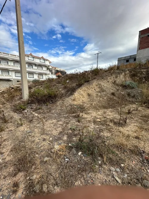 Vente Terrain Blida El affroun